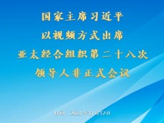 习近平出席亚太经合组织第二十八次领导人非正式会议